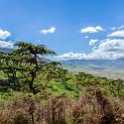TZA ARU Ngorongoro 2016DEC23 028 : 2016, 2016 - African Adventures, Africa, Arusha, Date, December, Eastern, Month, Ngorongoro, Places, Tanzania, Trips, Year
